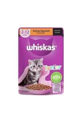 WHISKAS TAVUKLU-JUNİOR 85GR