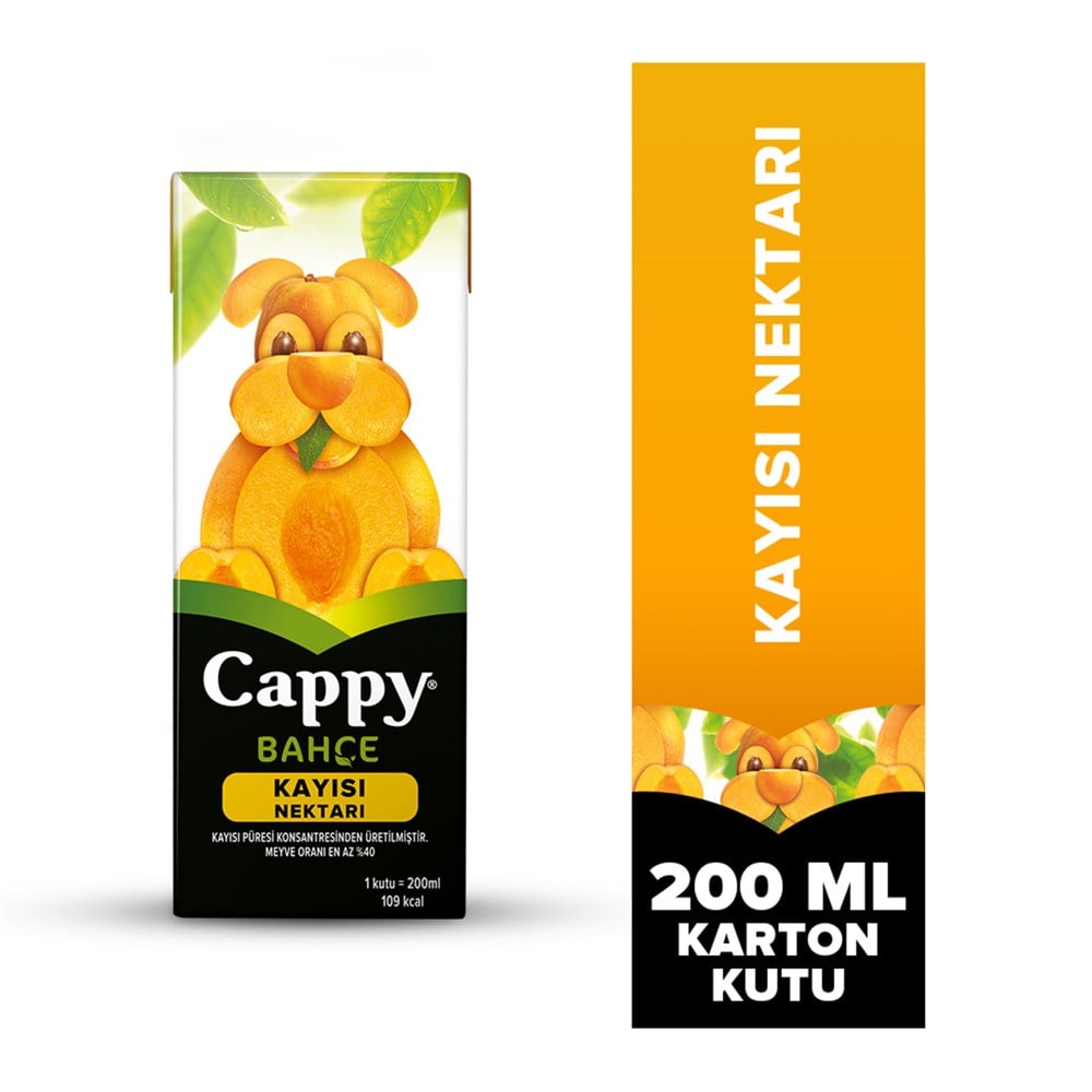 CAPPY KAYISI 200ML