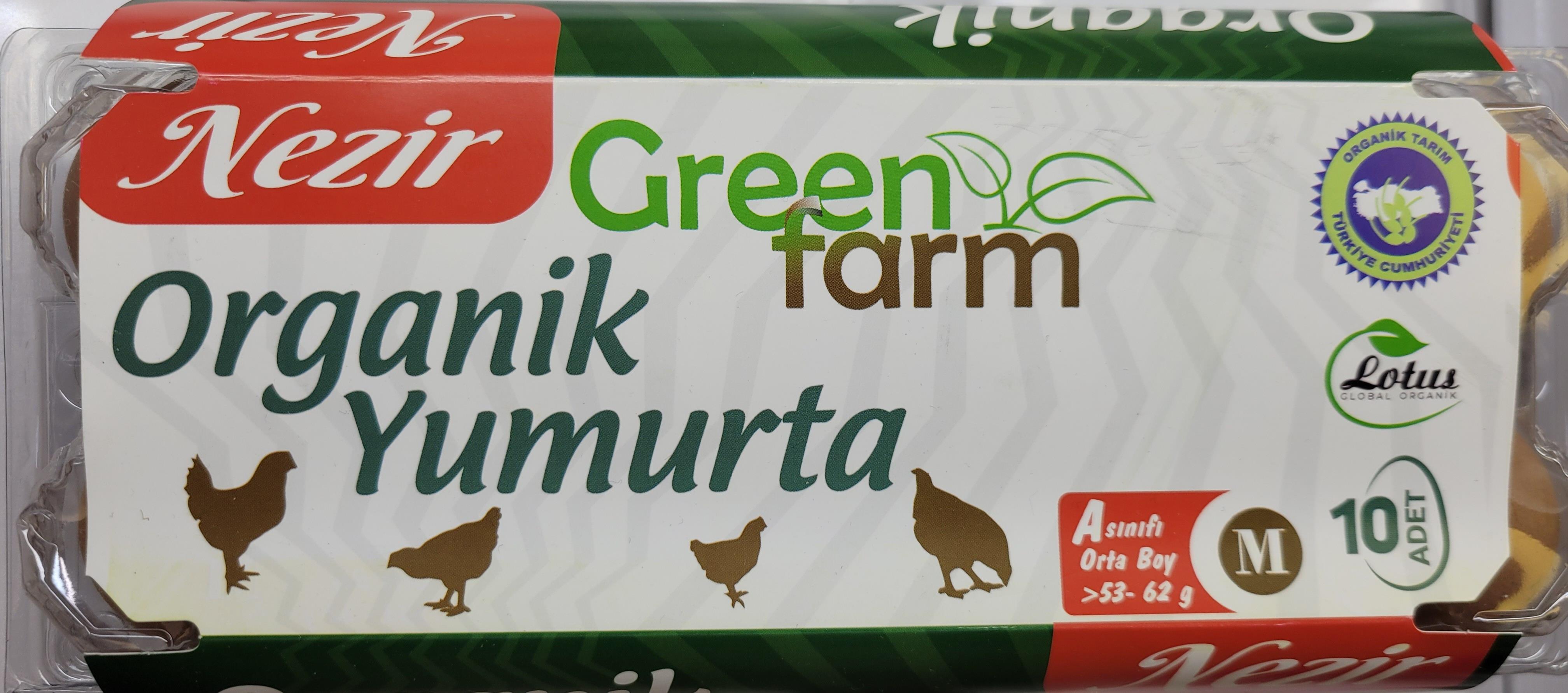 NEZİR ORG.YUMURTA 10LU