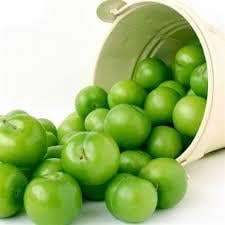 PAPAZ ERİK KG.