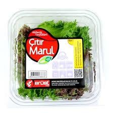 ÇITIR MARUL PAKET 100GR