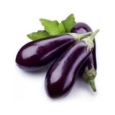 PATLICAN KG