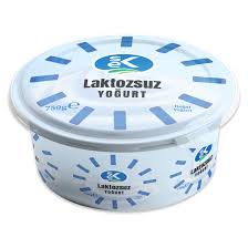 SEK LAKTOZSUZ YOĞURT 750GR
