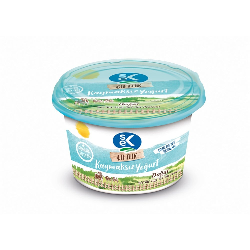 SEK YOĞURT 450GR