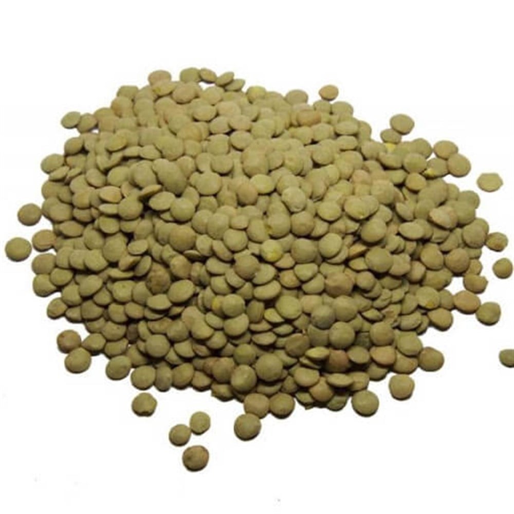 YEŞİL MERCIMEK 1 KG.