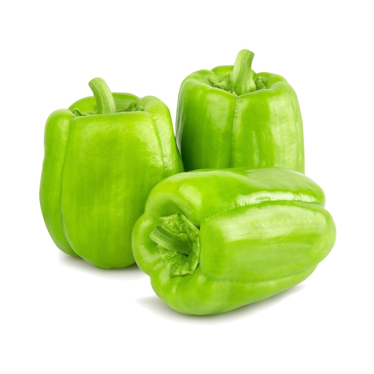 Dolma Biber KG