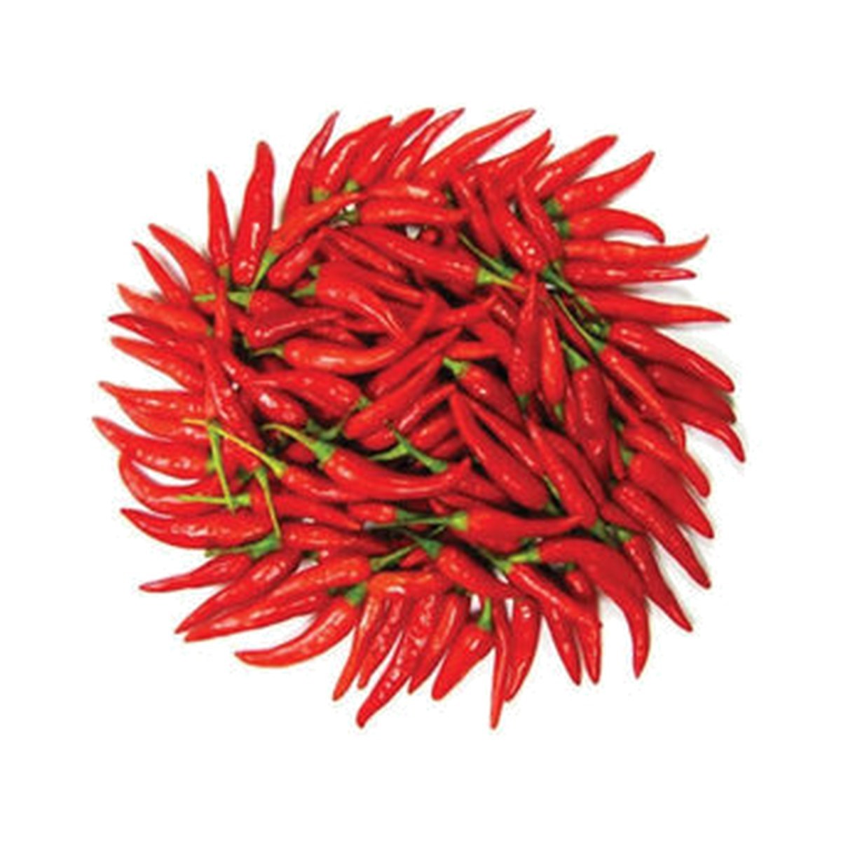 Kırmızı Süs Biber KG
