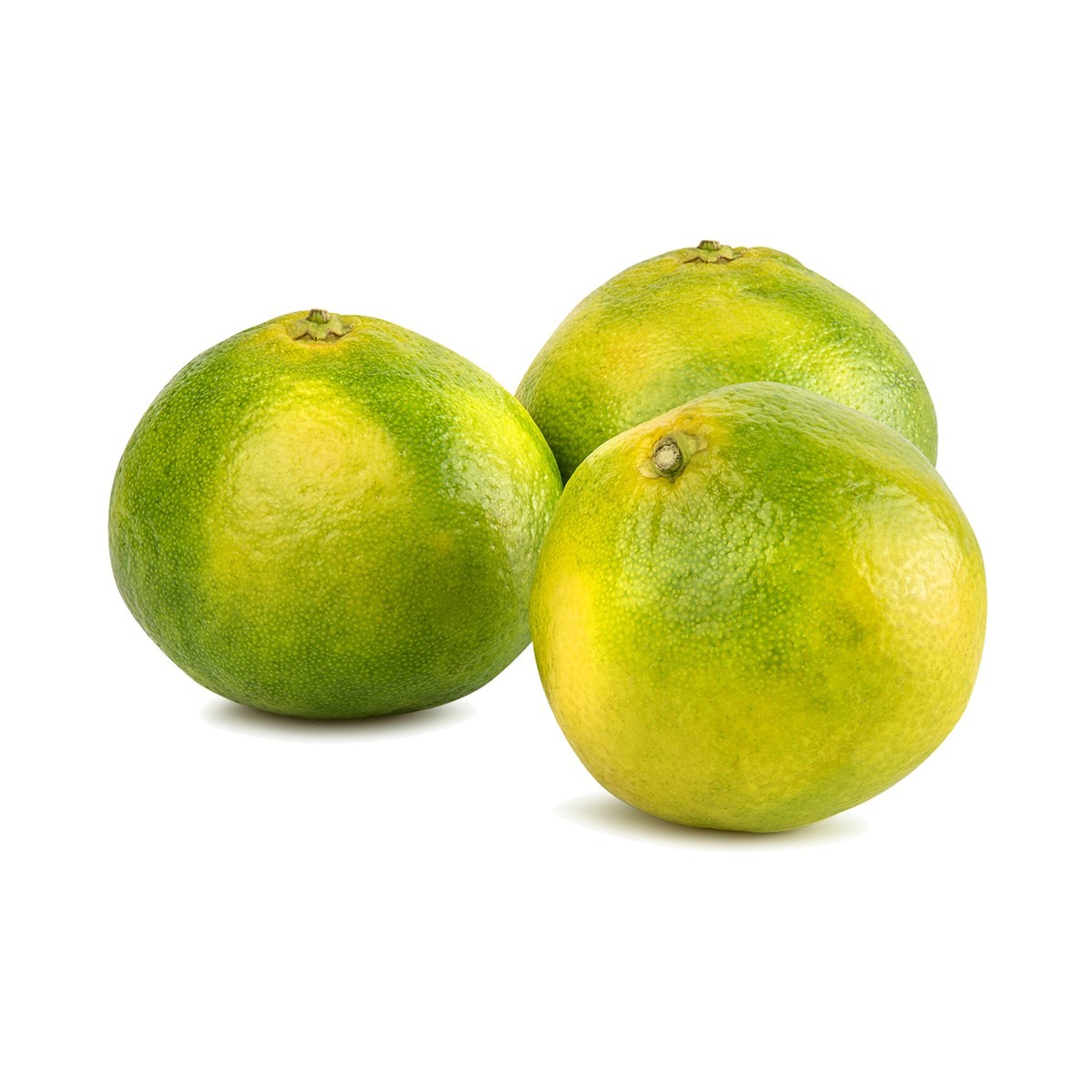 Mandalina KG