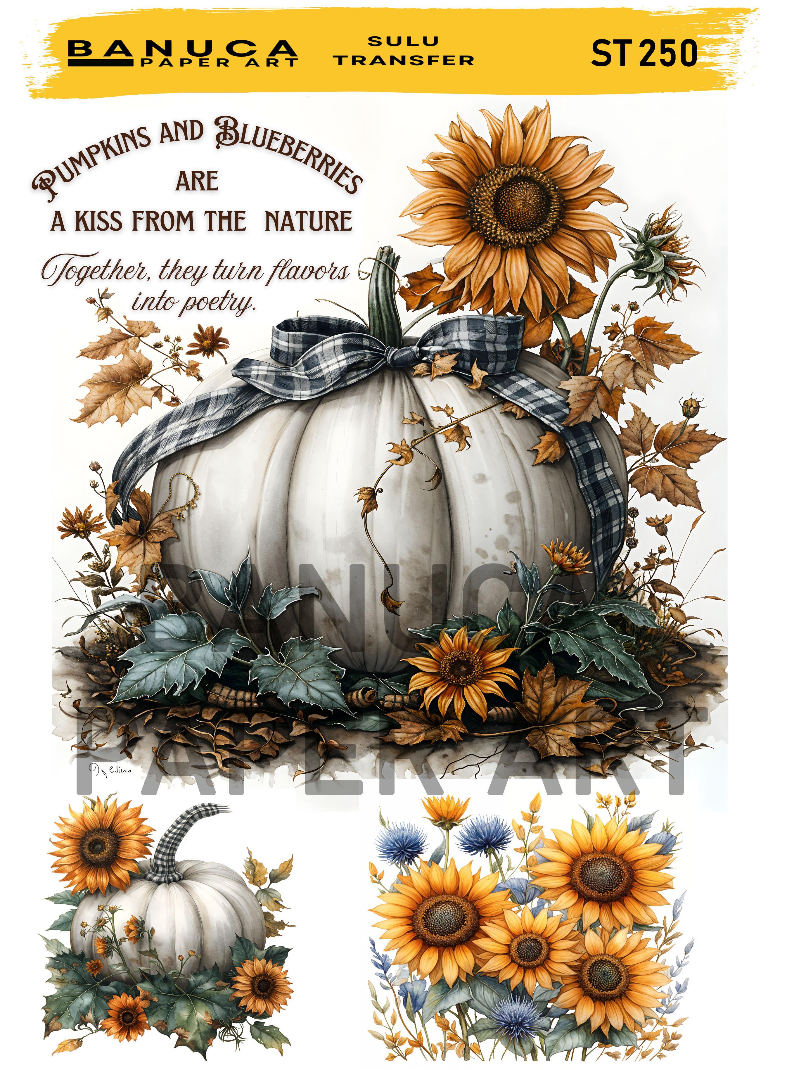 BANUCA PAPER ART SULU TRANSFER