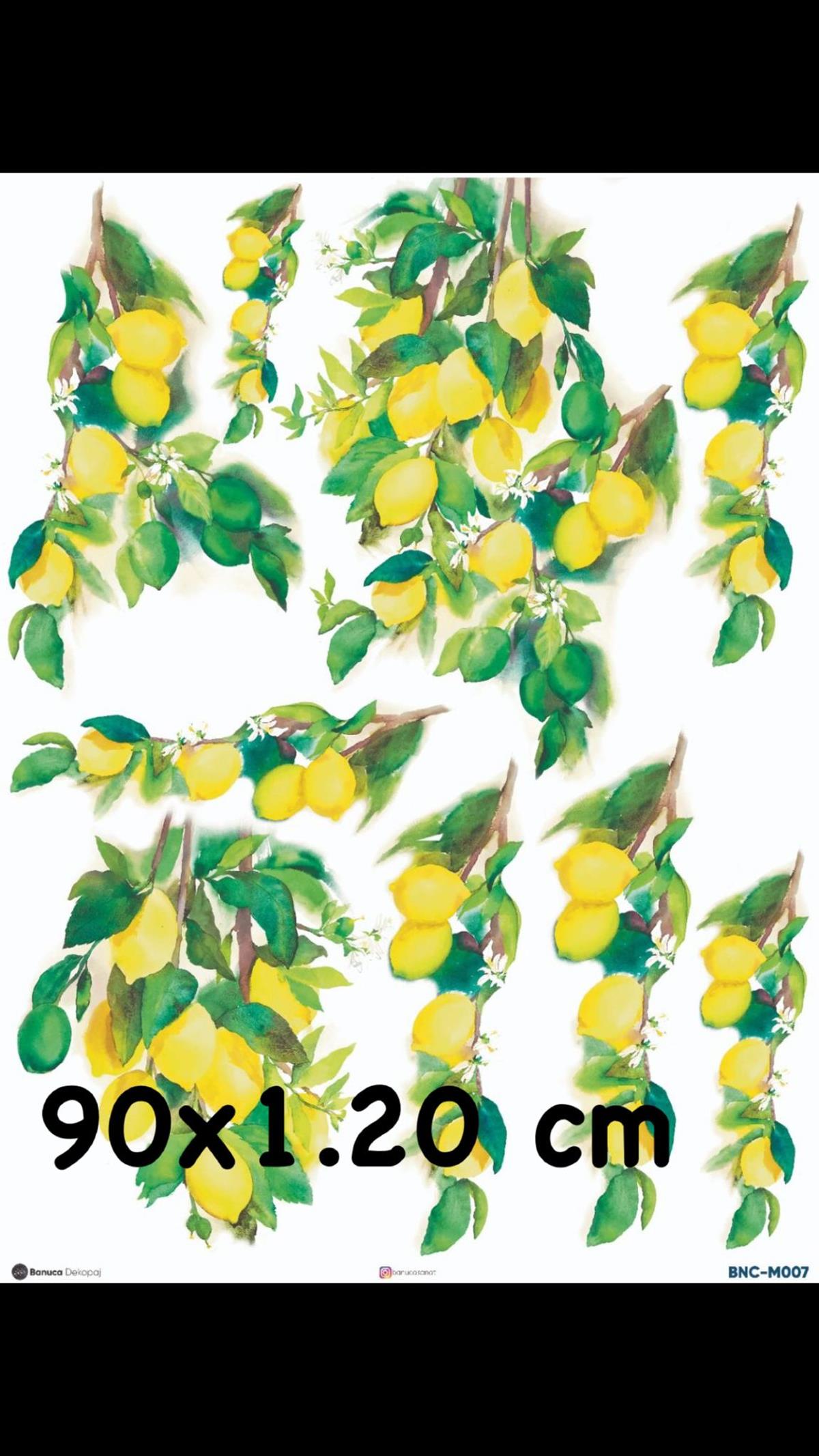 BNC METRELİK PİRİNÇ KAĞIDI 90X1.20 CM