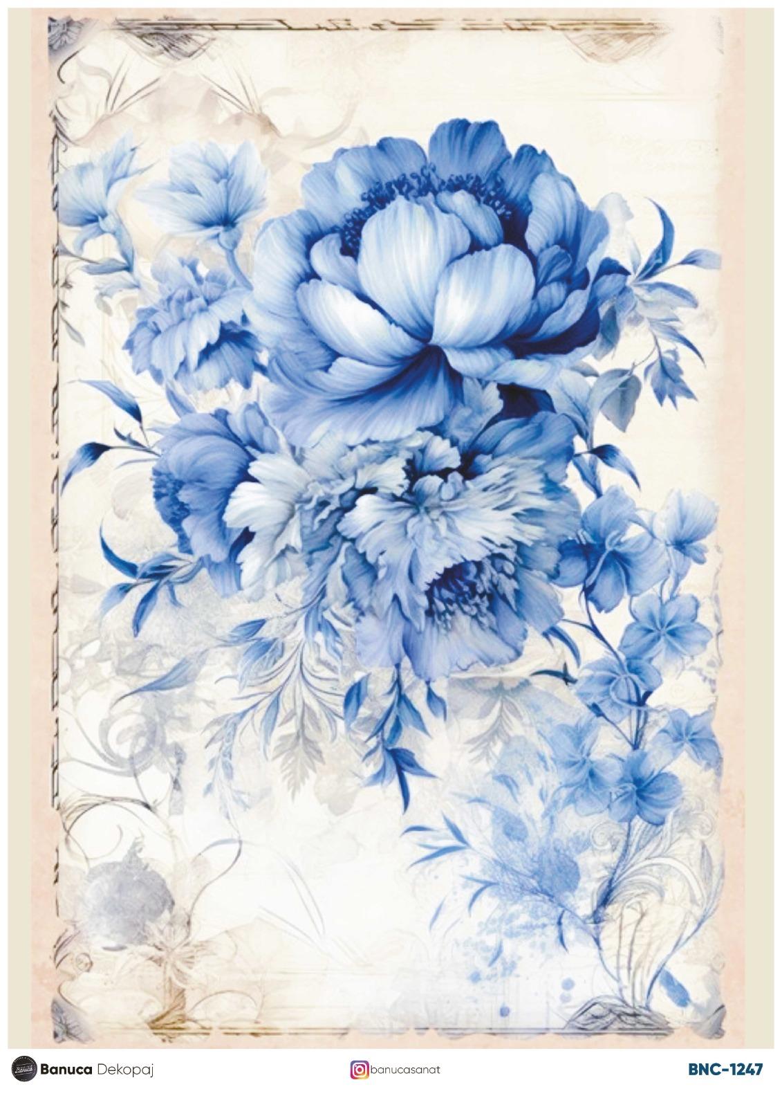 BNC PİRİNÇ DEKOPAJ