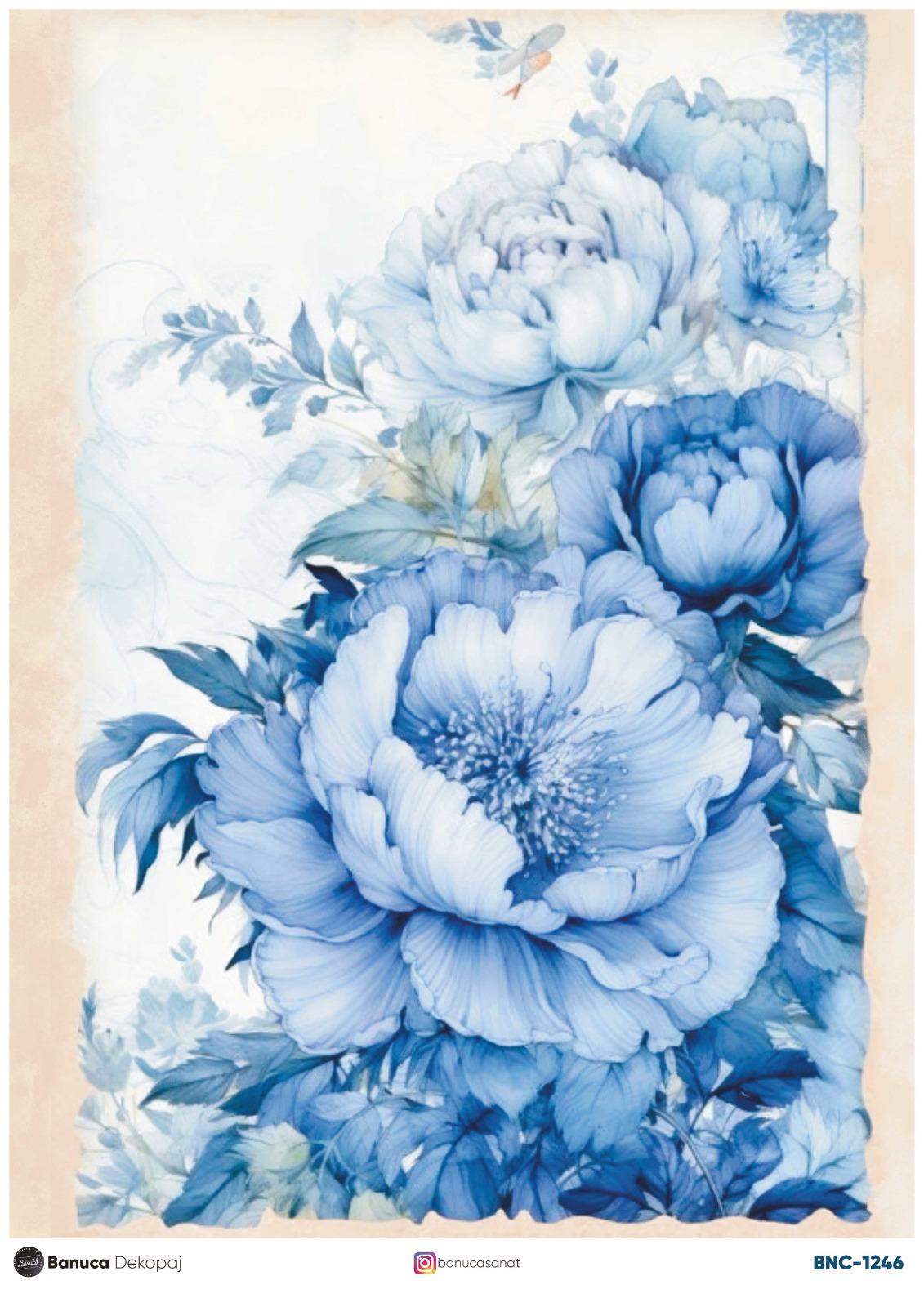 BNC PİRİNÇ DEKOPAJ