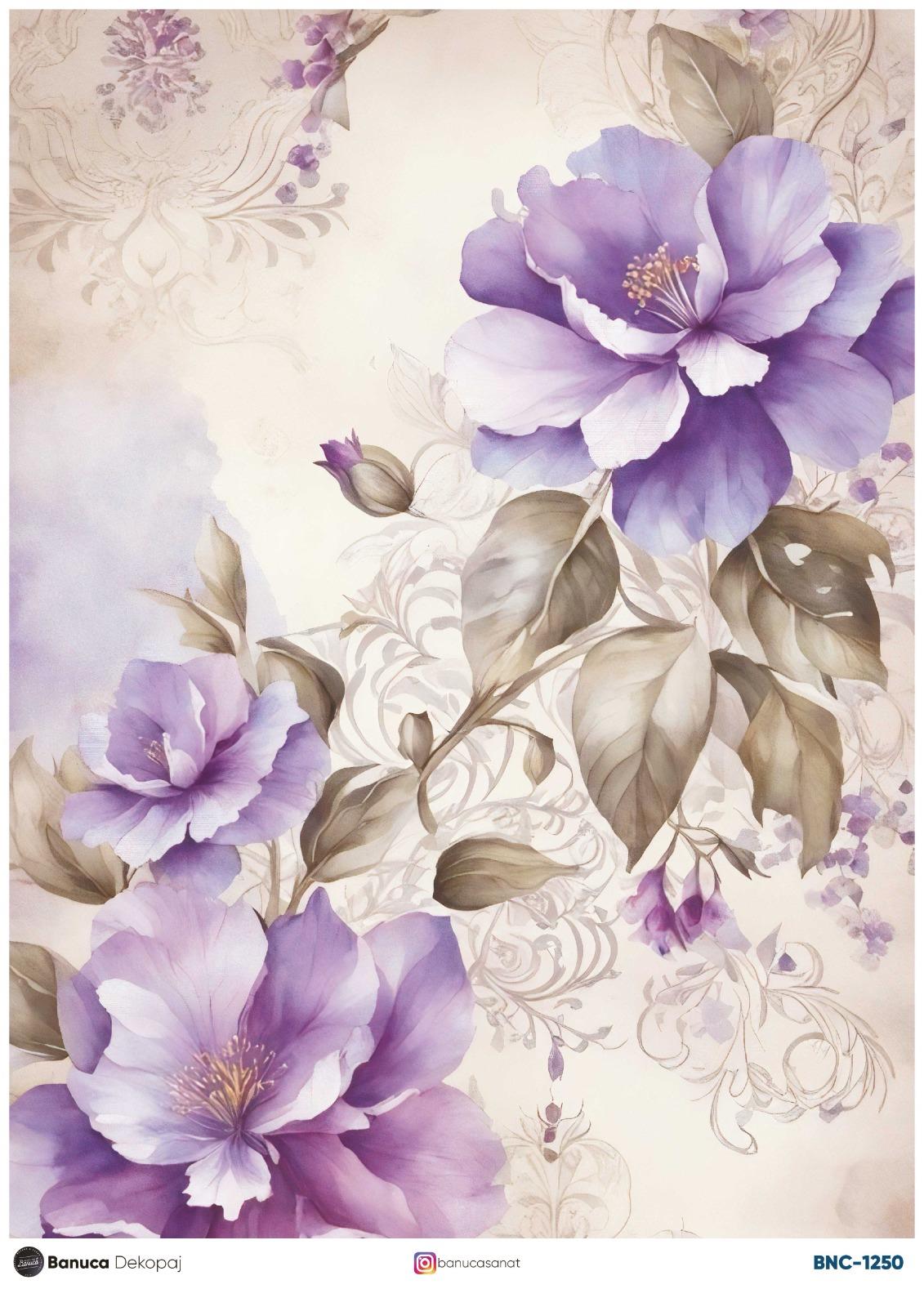 BNC PİRİNÇ DEKOPAJ