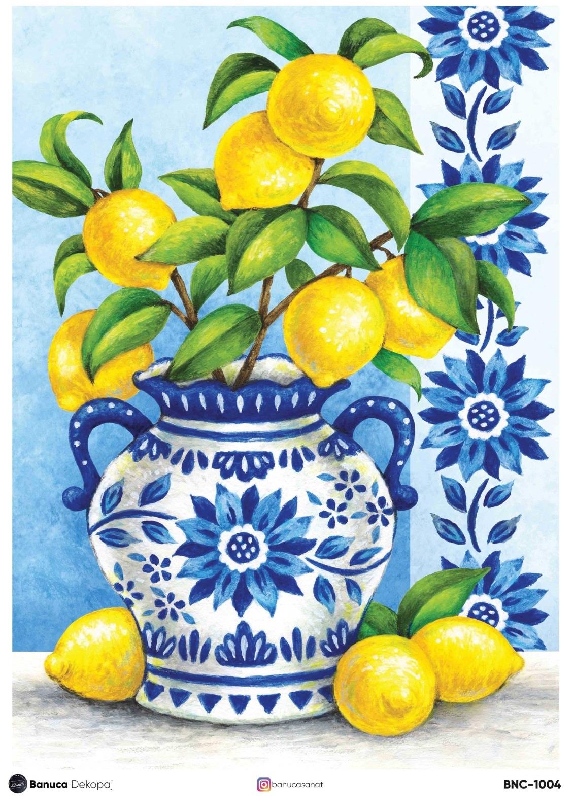 BNC PİRİNÇ DEKOPAJ