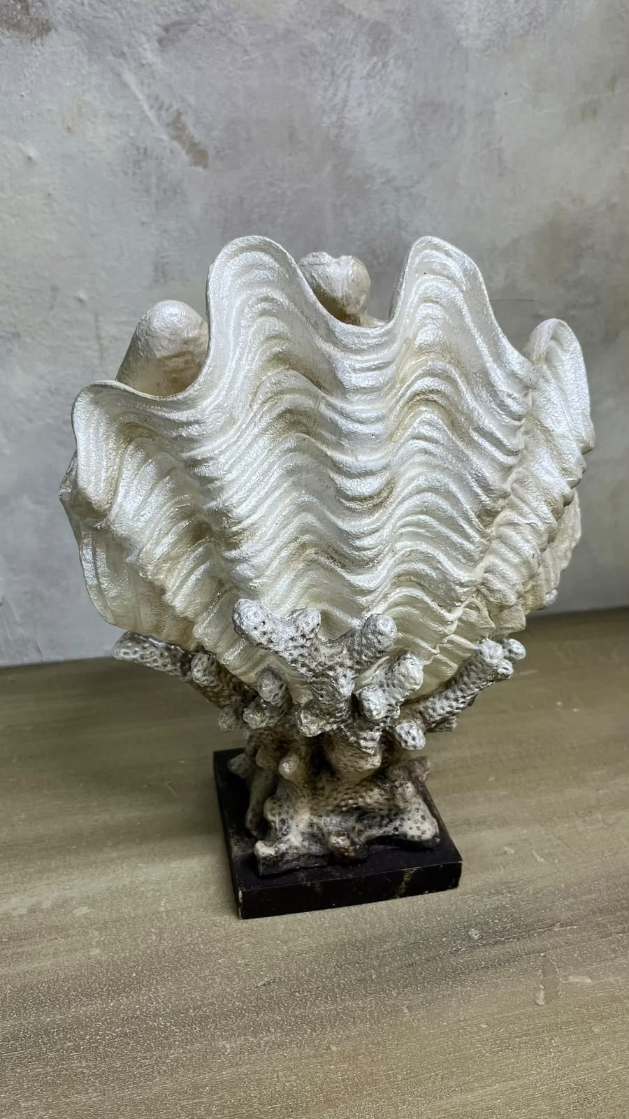 DENİZ KABUĞU 30X20 CM