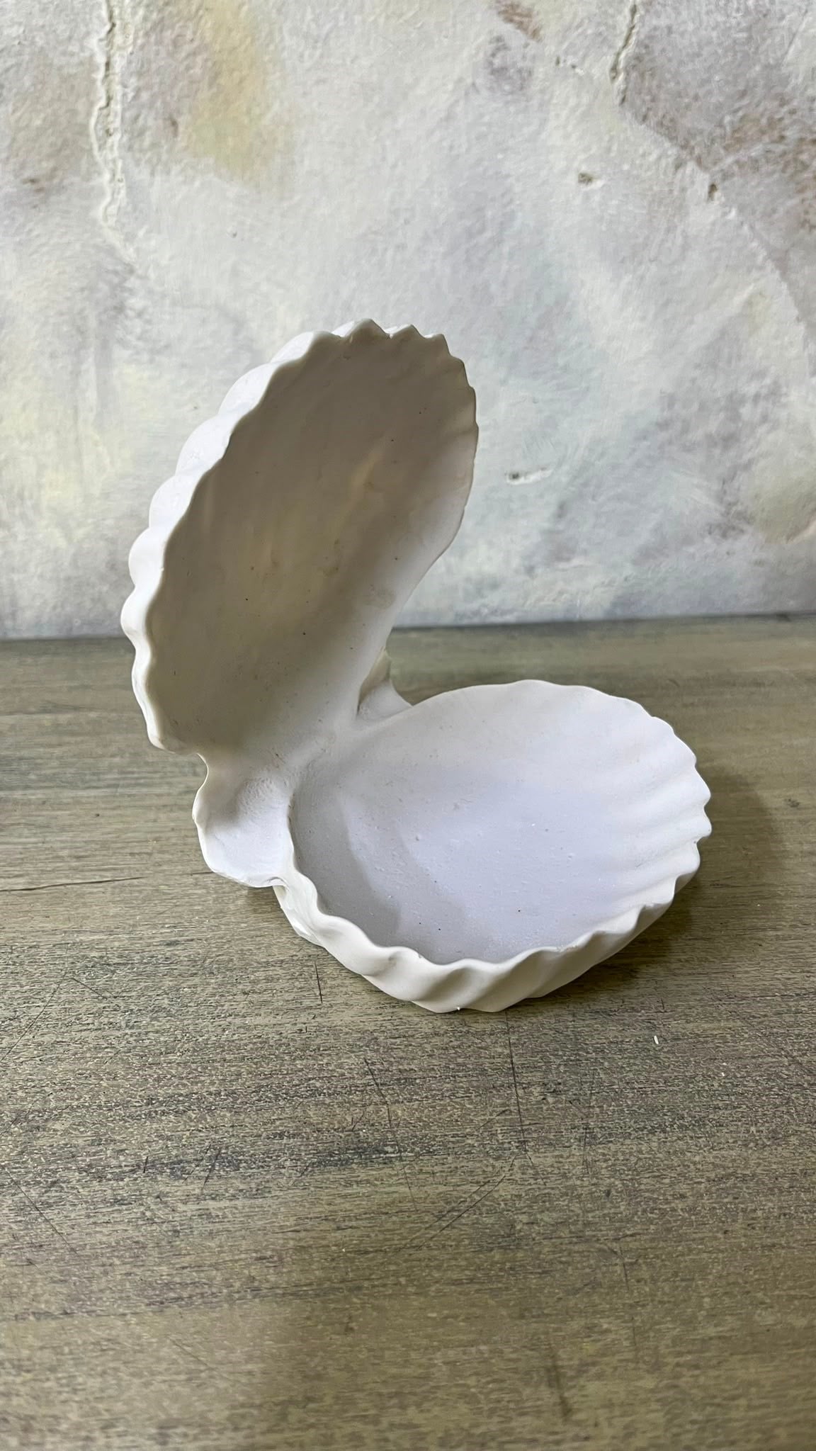 İstiridye Sunumluk Polyester Dekoratif Obje 14,5X10 CM