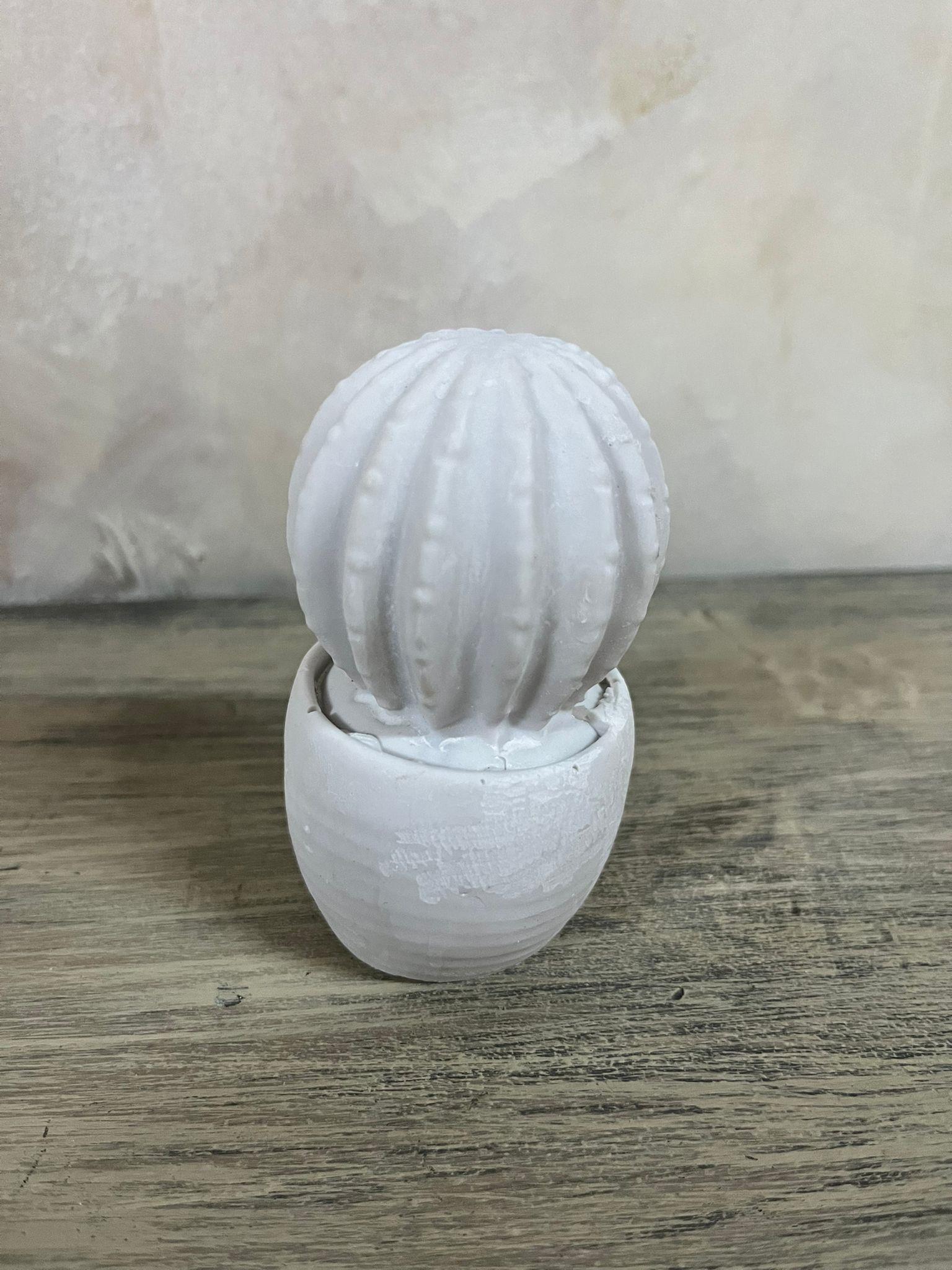 KÜÇÜK KAKTÜS 10X5 CM