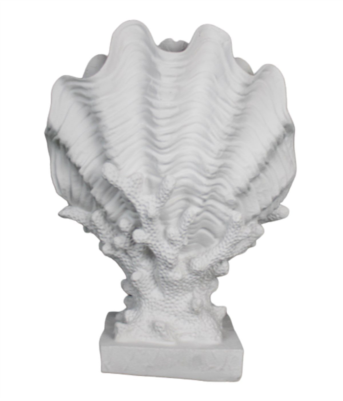 MERCAN ÜZERİNDE KAPALI DENİZ KABUĞU 30X22 CM