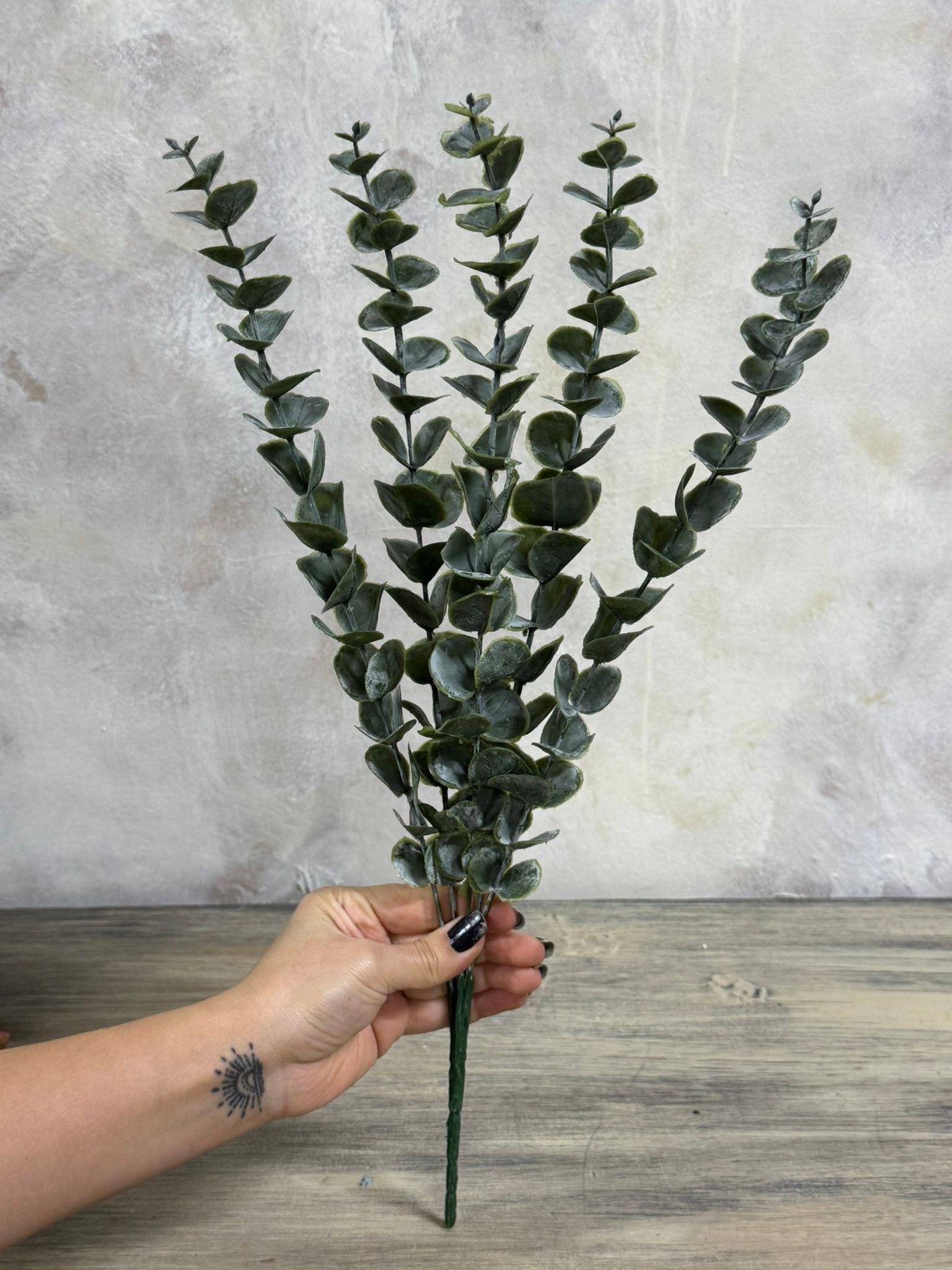 OKALİPTUS 43 CM