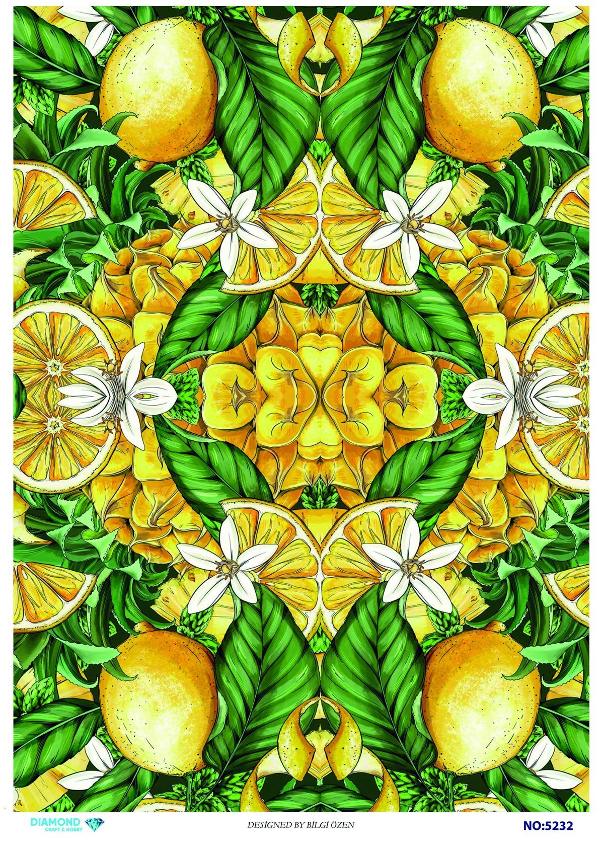 PİRİNÇ DEKOPAJ 5232