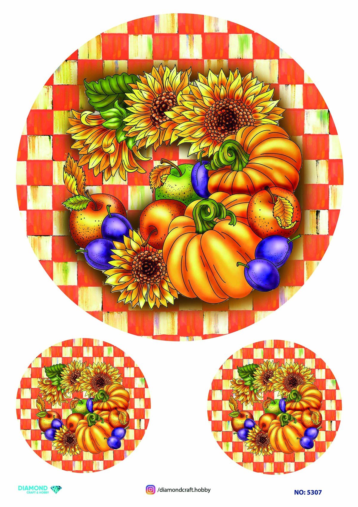 PİRİNÇ DEKOPAJ 5307