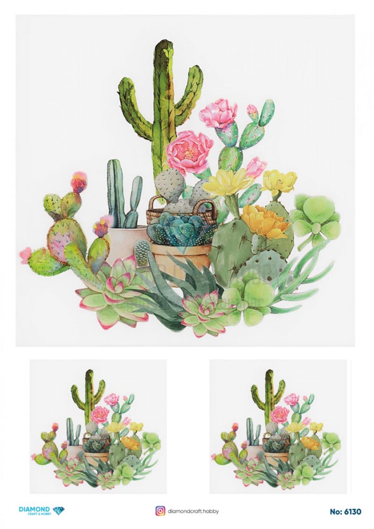 Pirinç Kağıdı 6130