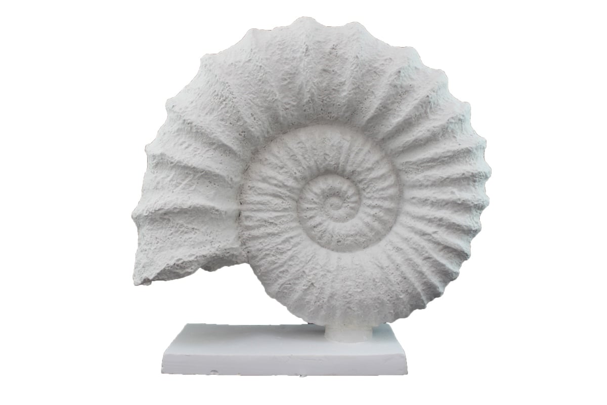 Polyester Kaideli Deniz Kabuğu