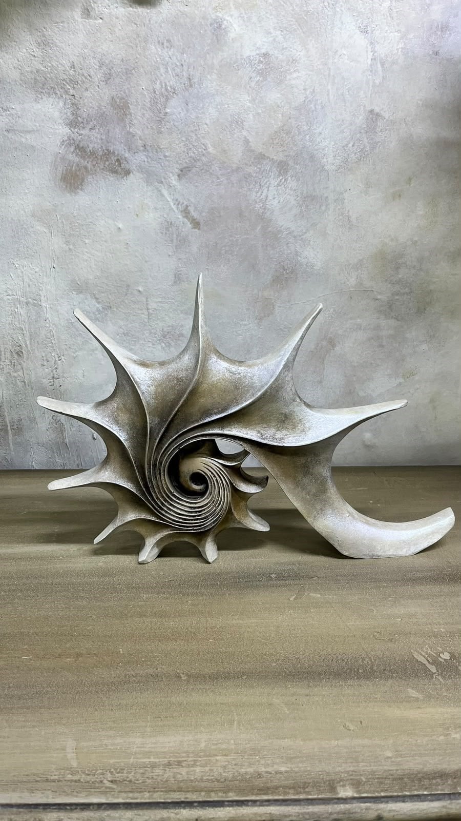 SALYANGOZ DUVAR 34X28 CM