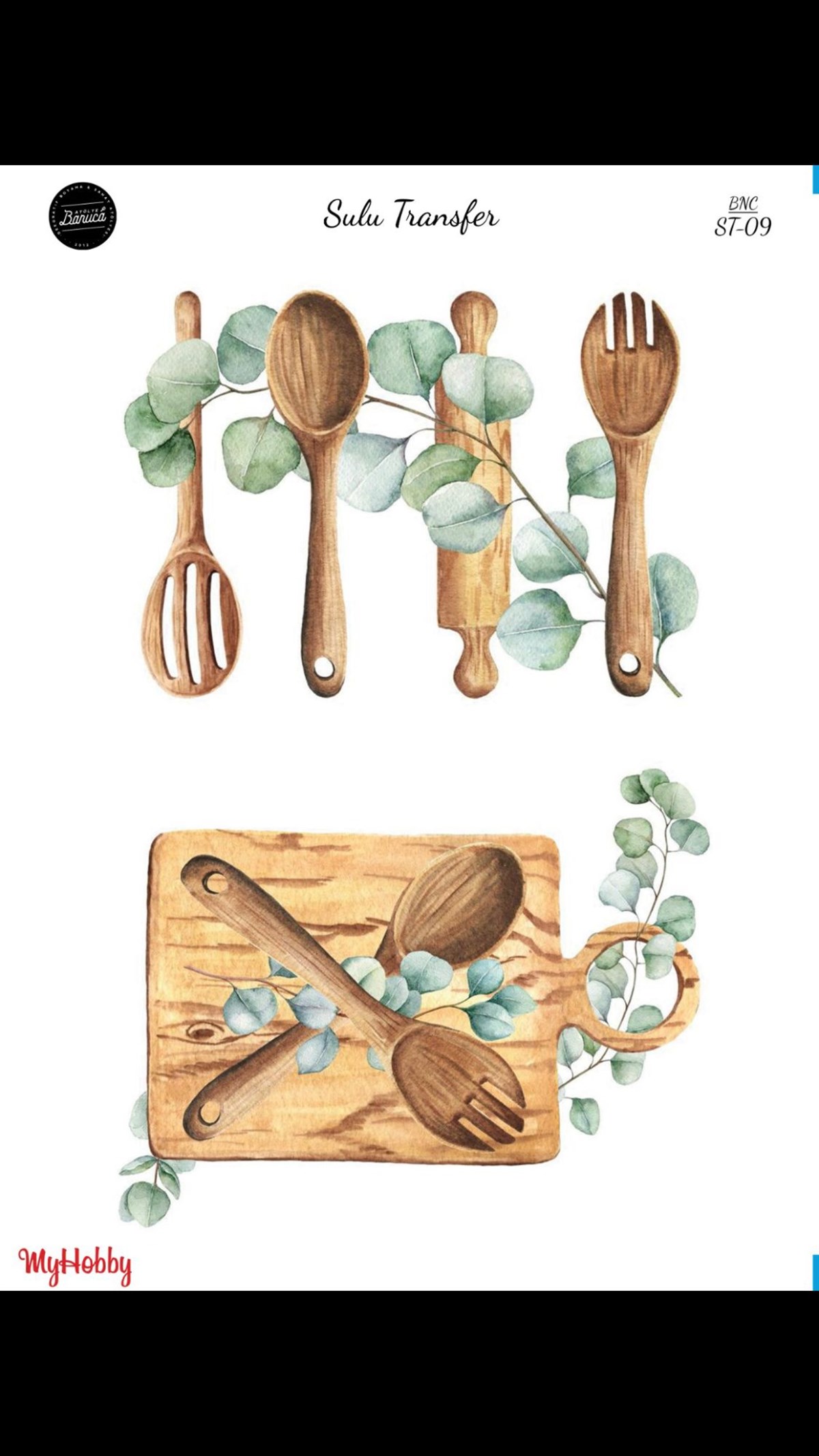 SULU TRANSFER BNC 09