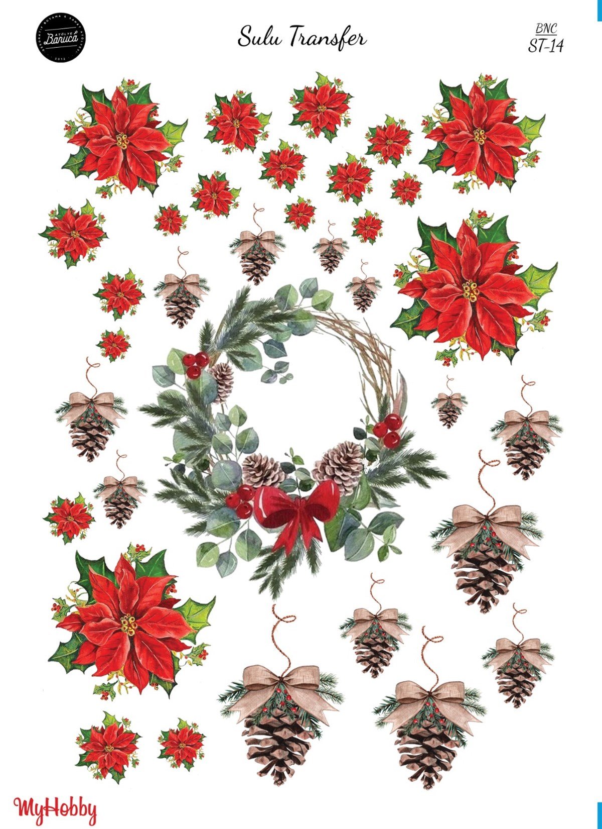 SULU TRANSFER BNC 14