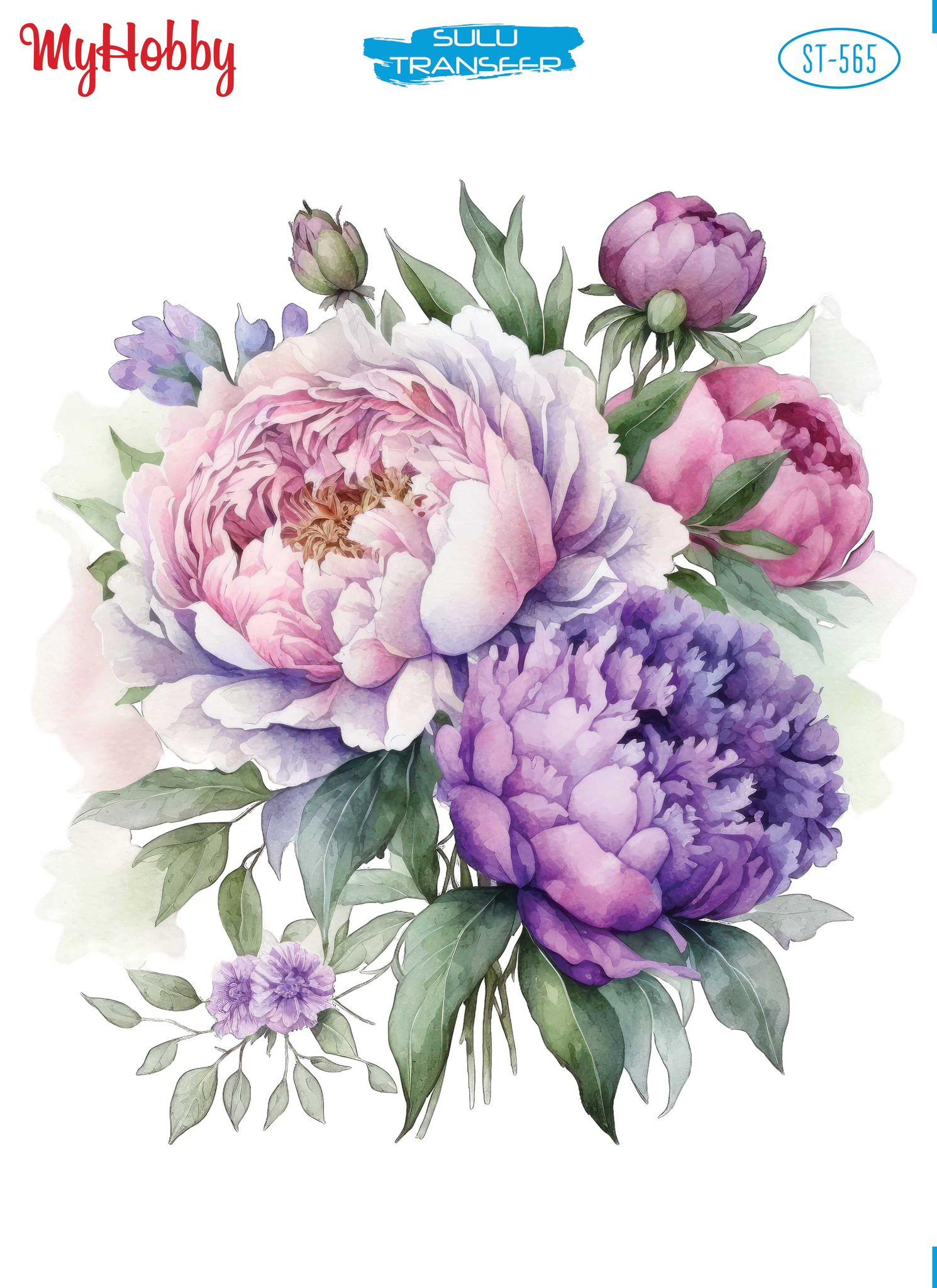 SULU TRANSFER ST-565