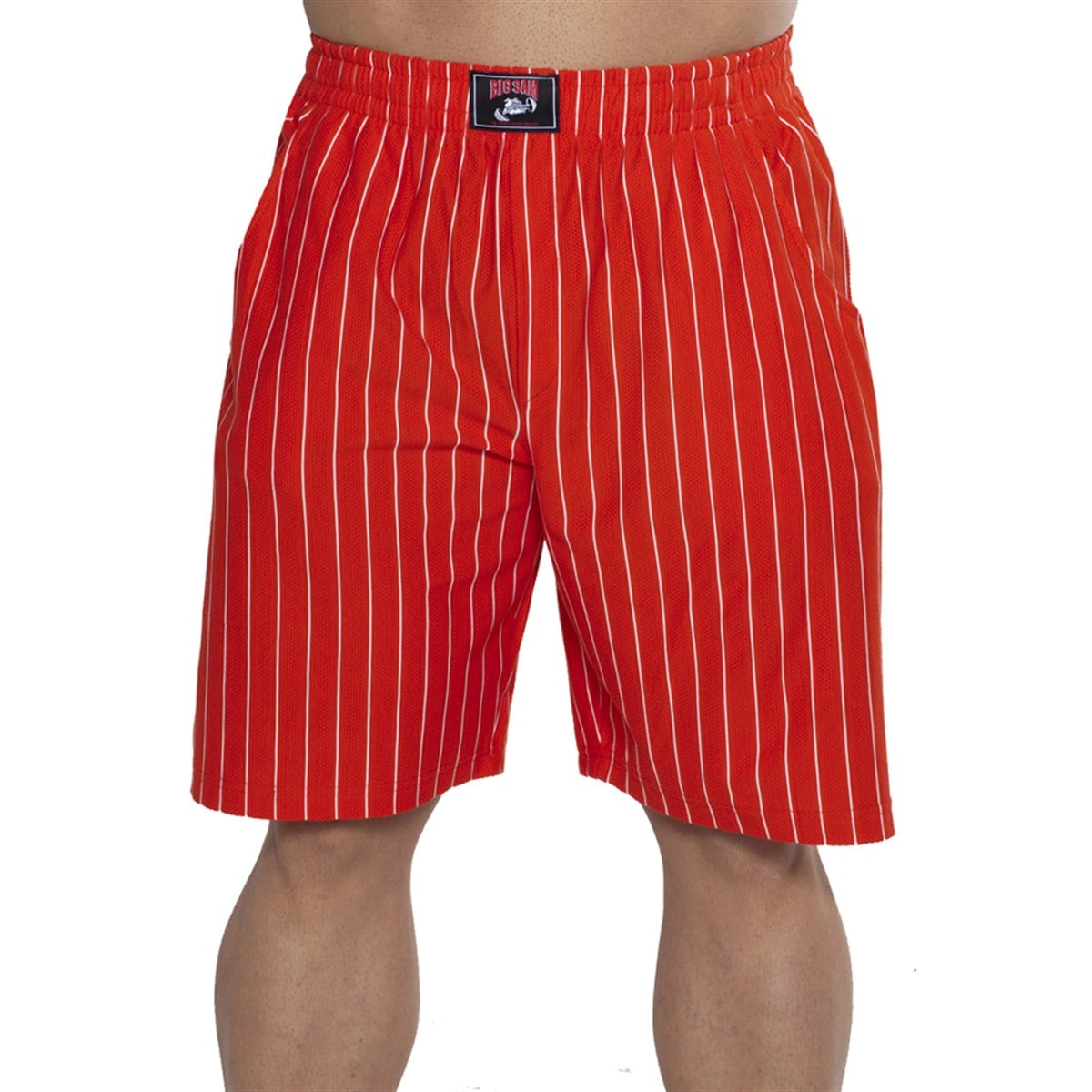 Men's Fitness Gym Shorts