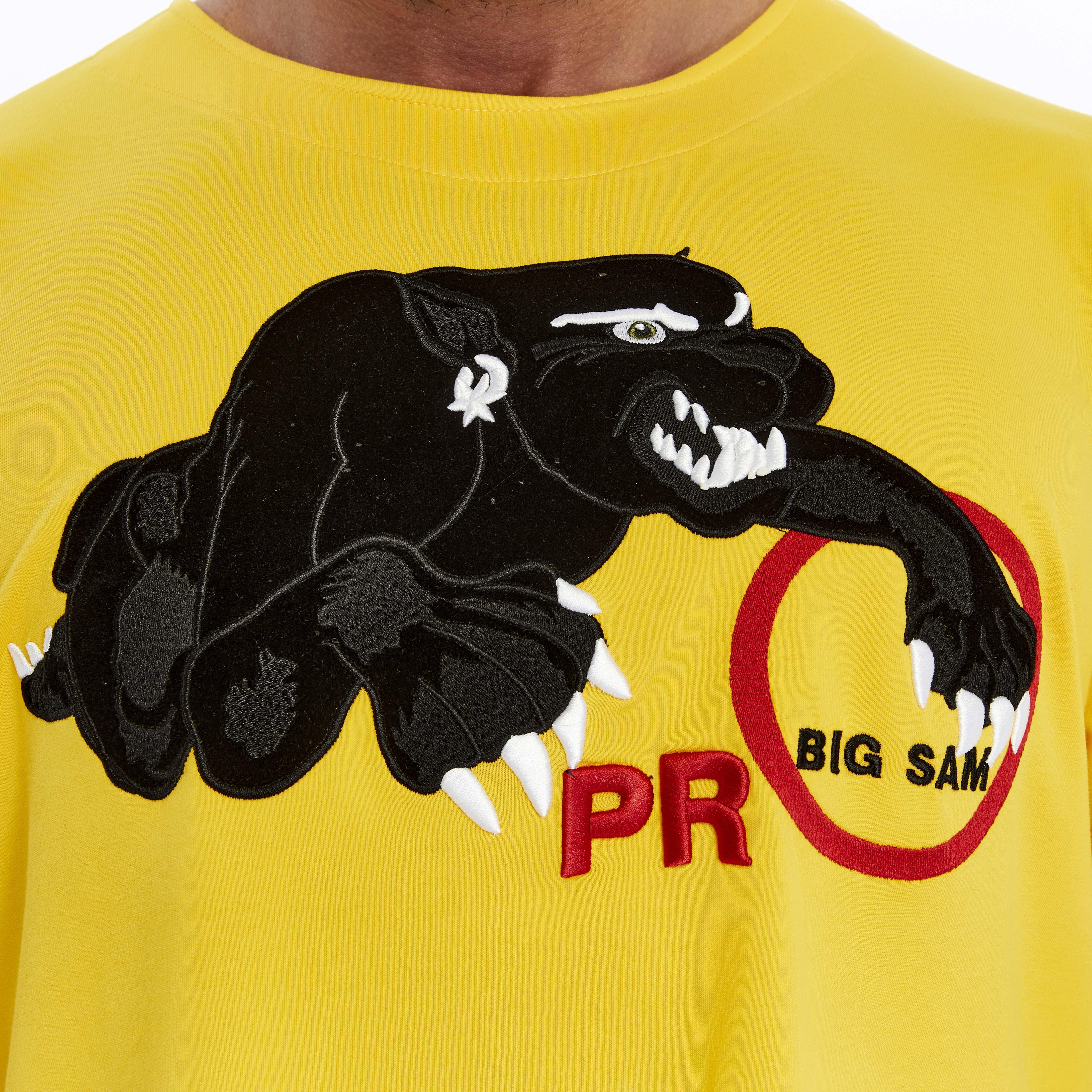 Mens Oversize Embroidered Rag Top T-shirt