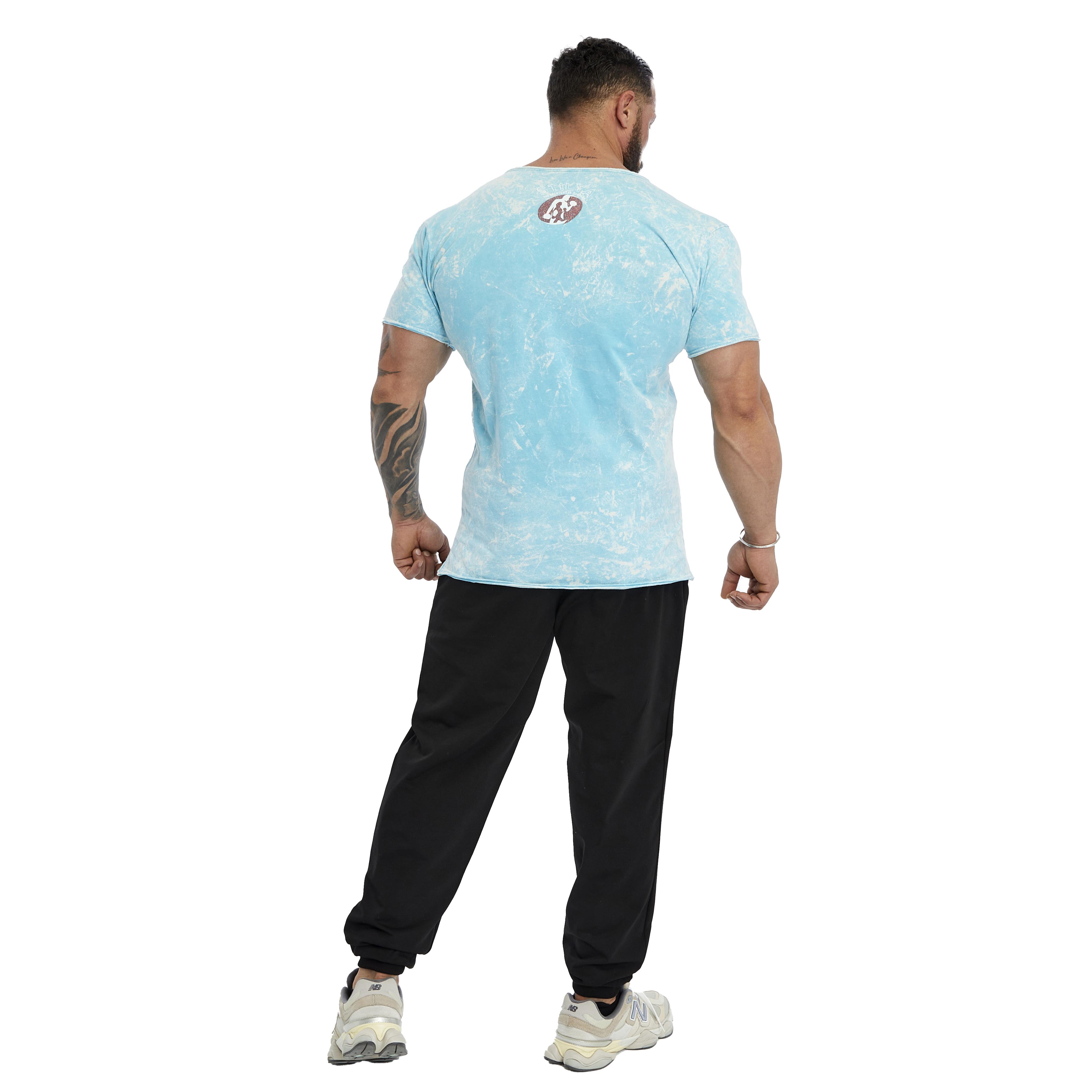 Mens Slim Fit Cotton T-shirt