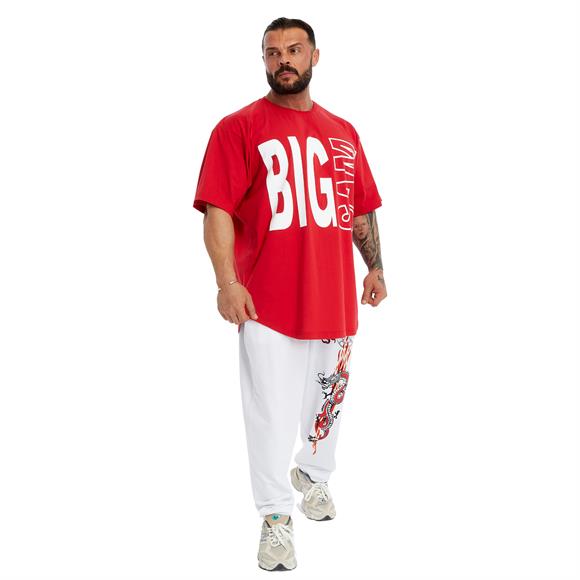 Mens Loose Fit Dragon Sweatpants