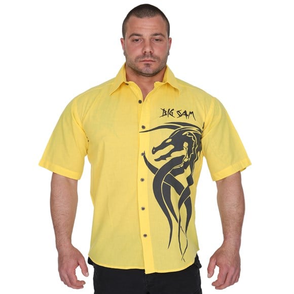 Dragon Shirt 5005