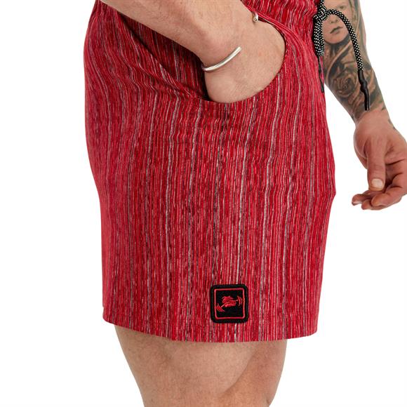Gym Shorts 1481