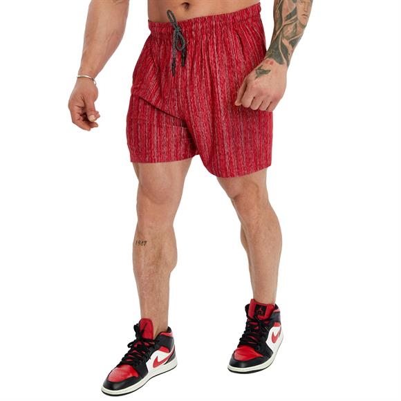 Gym Shorts 1481