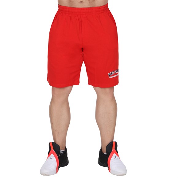 Mens Fitness Gym Shorts