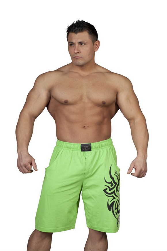 Mens Fitness Lifestyle Shorts