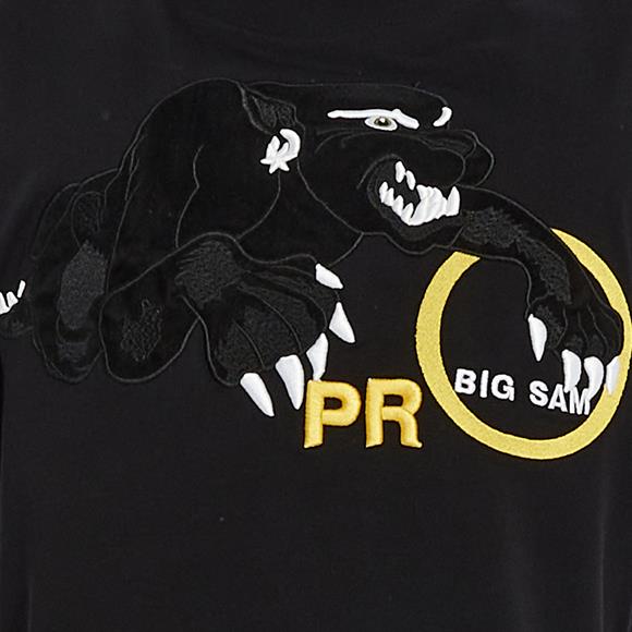 Mens Gym T-shirt Big Sam