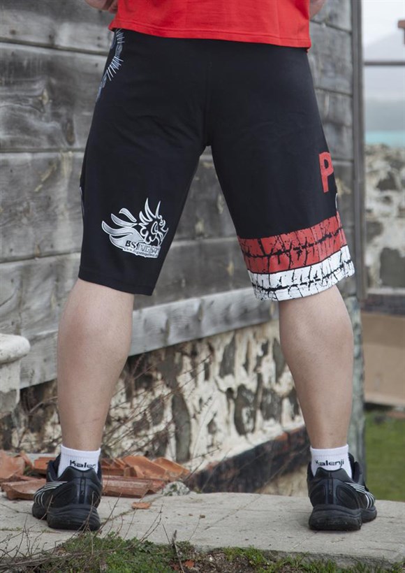 Mens Martial Arts Shorts