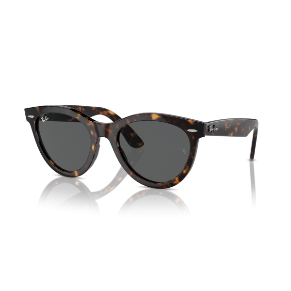 RayBan 2241 902/B1 51