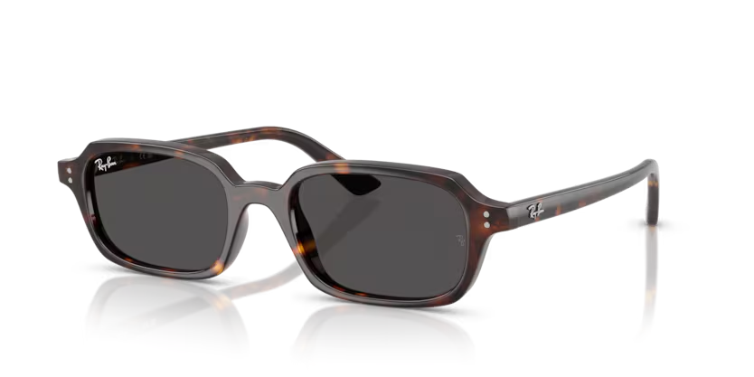 RayBan 4455 135987 49