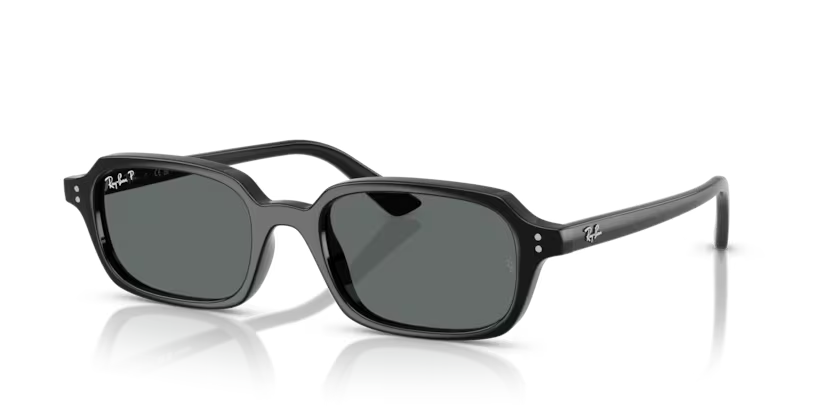 RayBan 4455 667781 52