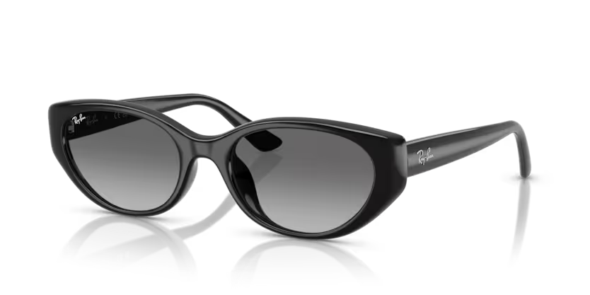 RayBan 4457D 667711 55