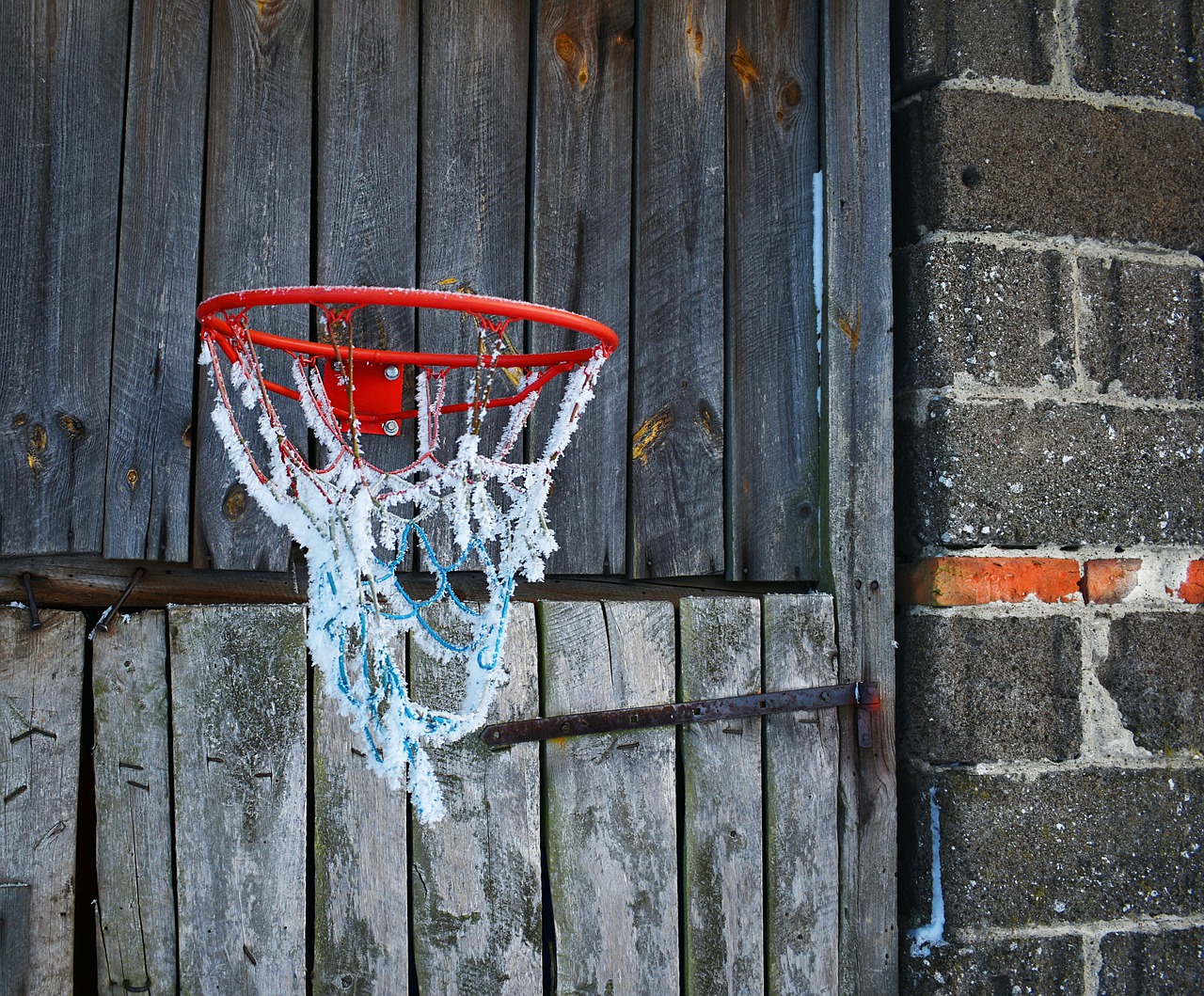 Evde Basketbol Becerilerinizi Geliştirmek için Egzersizler