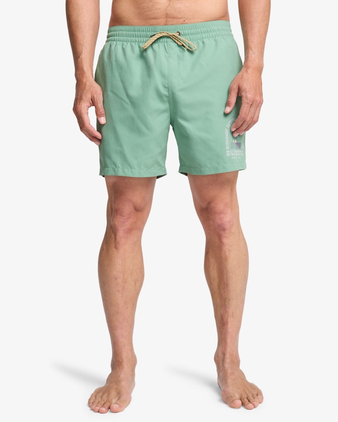 Billabong Foundation Lb Erkek Şort EBYJV00162
