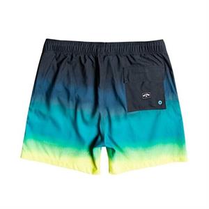 Billabong All Day Fade Lb Erkek Şort C1LB26BIP2