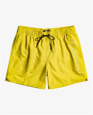 Billabong All Day Heritage Lb Erkek Şort EBYJV00105